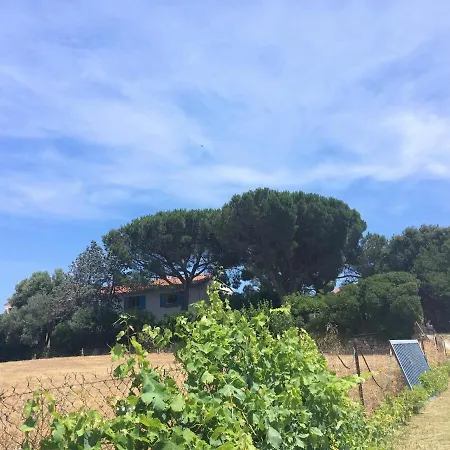 Les Meubles De La Corniche 公寓