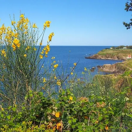 Les Meublés De La Corniche Appartamento Argelès-sur-Mer