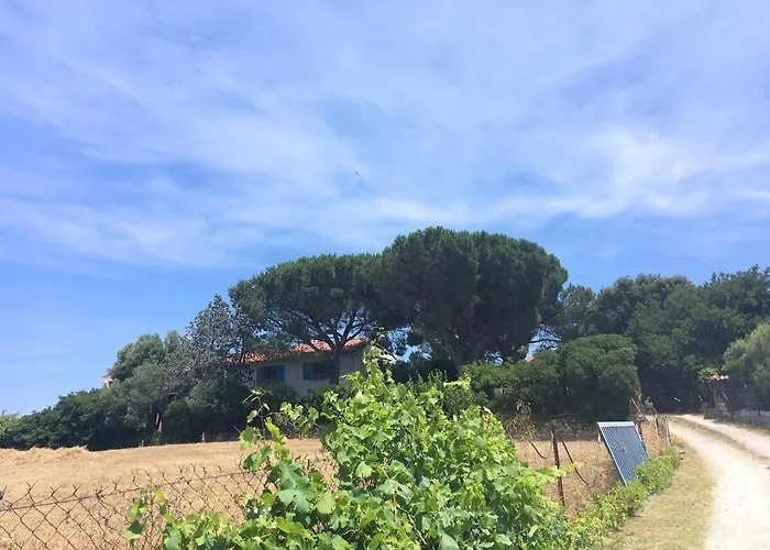 Les Meubles De La Corniche Appartement