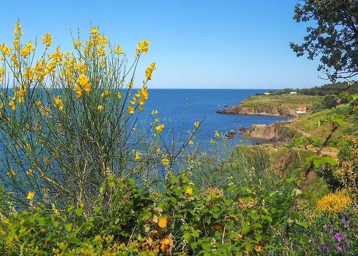 Les Meubles De La Corniche Appartement Argelès-sur-Mer